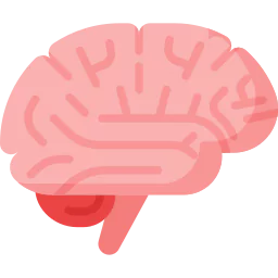 Enhances Brain Function