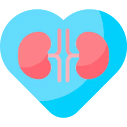 Supports Heart & Kidney Health